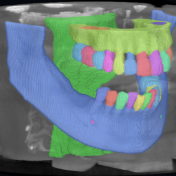 ToothFairy NIfTI Viewer